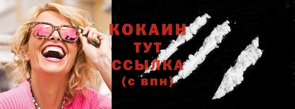 гашик Пестово