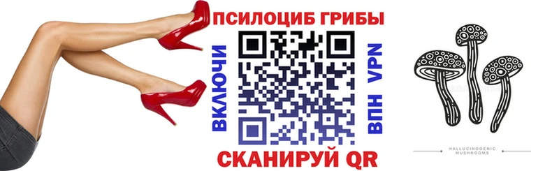 Купить где  Горнозаводск  Псилоцибиновые грибы Psilocybine cubensis 
